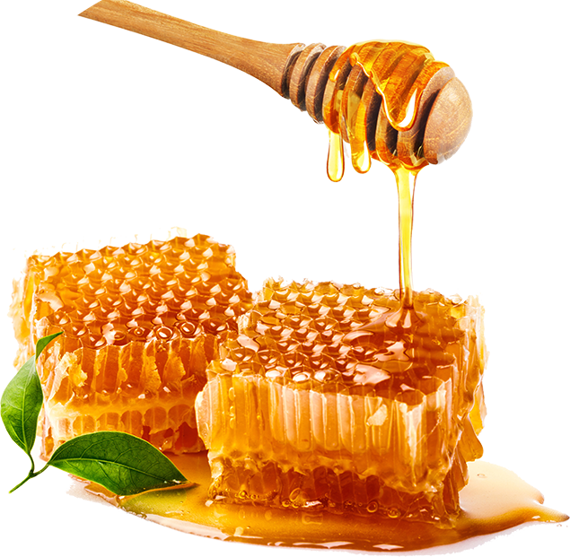 Buy Best Pure Honey in India - Ghanshyam Honey