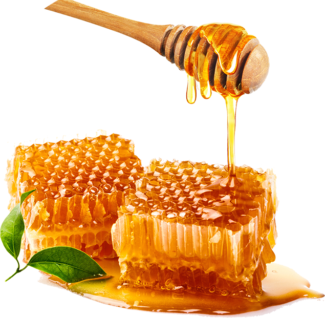best pure honey in india